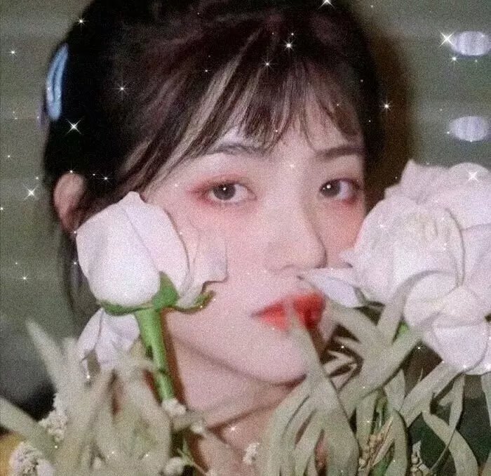 希瑞与非凡的公主们第五季